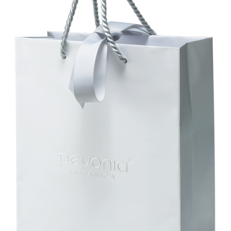 600266 White Silver Large Gift Bag No Ribbon (2)