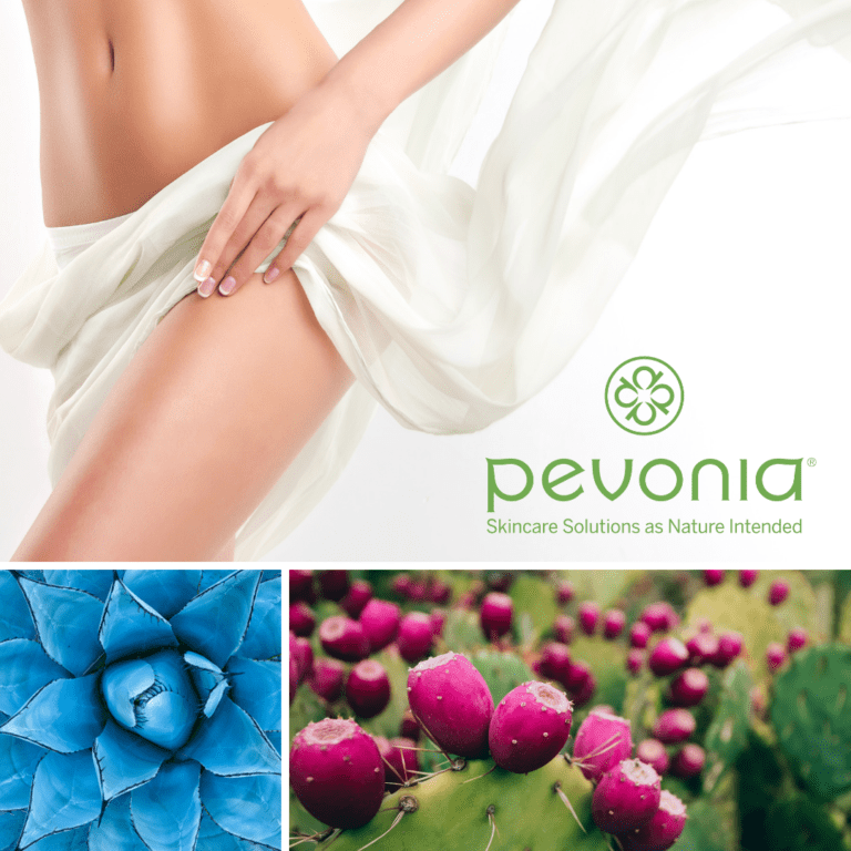 Pevonia Body Kurs