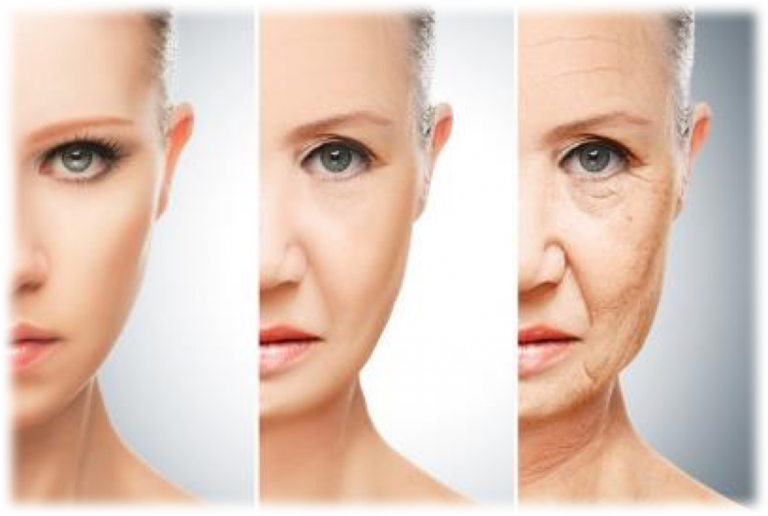 Pevonia Steg 2 – Agemanagement