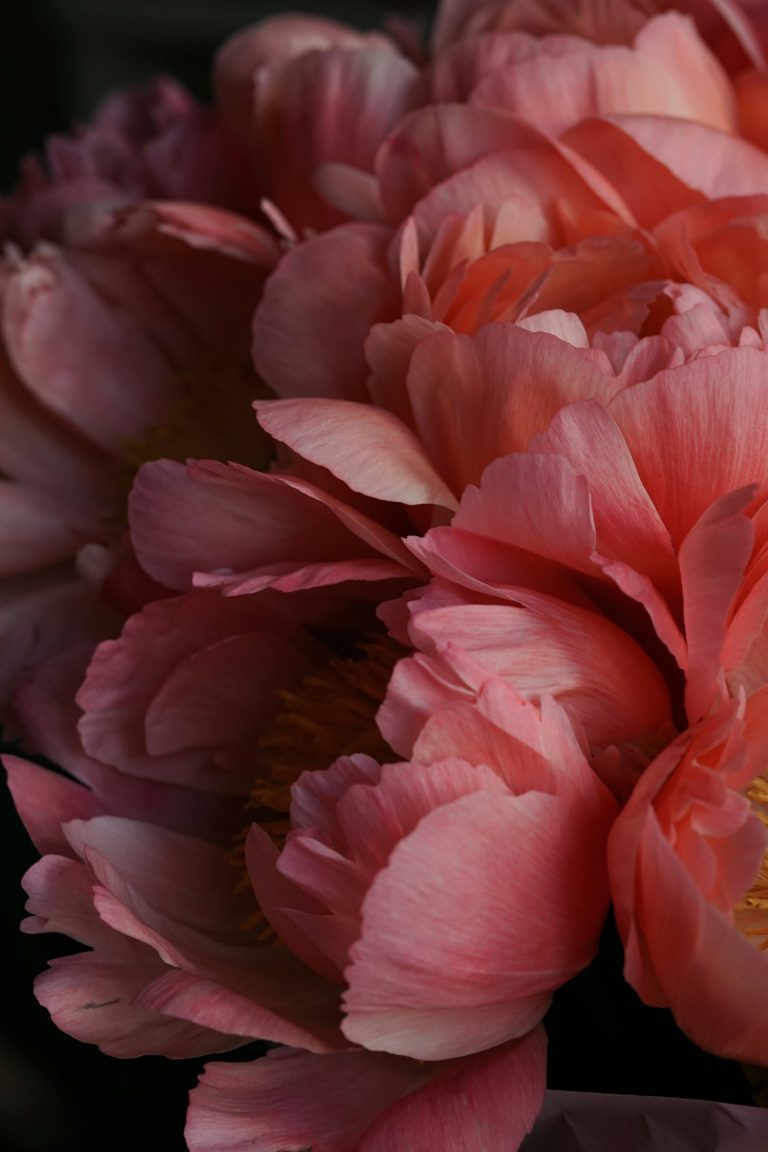 Rosacea Awareness