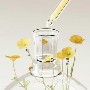 Pevonia Glossary (Ingrediensförteckning)